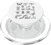 Grafico scientifico delle specie di insetti Entomologia Storia naturale PopSockets PopGrip per MagSafe