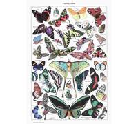 Grafika - Puzzle Illustrazione tratta da Larousse pour Tous : Farfalle - 1000 Pezzi