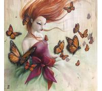 Grafika - Puzzle Misstigri - Farfalle - 1000 Pezzi
