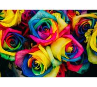 Grafika - Puzzle Rose - 1000 Pezzi