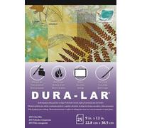 Grafix Clear .003 Dura-lar Film, 22,9 cm da 30,5 cm, 25 Fogli