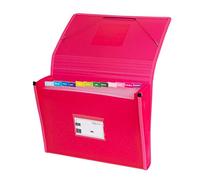 Grafoplás 02963054-Cartella con soffietto, formato foglio, colore: rosa