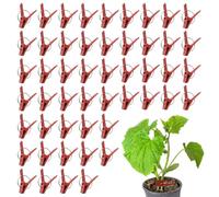 Grafting Clips Tomatoes - 50pcs Plant Clip Set | ABS Garden Support Fasteners Durable Reusable Secure Hold | Vegetable Vine Fixing Tool | Cucumber Meloń Eggplant Growing Use