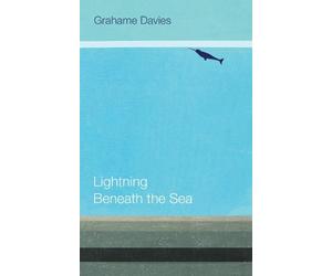 Grahame Davies Lightning Beneath the Sea (Tascabile)