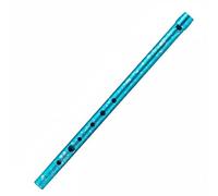 Gralara 2 Pezzi Tin Whistle Uso Scolastico Flauto Irlandese a 6 Fori Suono Chiaro Flauto Dolce Metallico per Scuola
