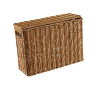 Gralara Contenitore portaoggetti stretto e alto Contenitore portaoggetti decorativo Cestino portariviste con maniglia per ufficio, L