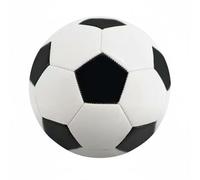 Gralara Pallone da Calcio Misura 5 Cucito a Macchina Pallone da Allenamento in PVC Resistente Attrezzatura Sportiva per Adulti, Black White