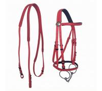 Gralara Set da 1 Imbracatura per in PVC con Morso E Sottogola Forato per Guida E Controllo Durante Le Sessioni di Allenamento Adatto a Cavalli E di Statura Minima