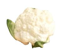 Gralara Simulazione realistica di un modello di verdura artificiale, supporto didattico per foto, modello di verdura di broccoli, per centrotavola da sala da, Broccoli Bianchi