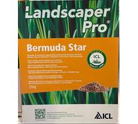 GRAMIGNA CYNODON BERMUDA STAR SEME PRATO MACROTERMA 250 gr ICL