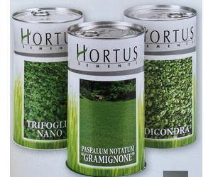 GRAMIGNONE 1 KG Paspalum Notatum Sementi Prato Professionale