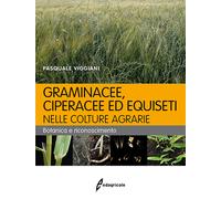 Graminacee, ciperacee ed equiseti nelle colture agrarie. Botanica e ricono...