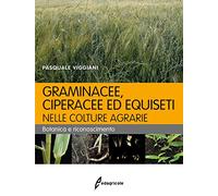 Graminacee, ciperacee ed equiseti nelle colture agrarie. Botanica e riconoscimento