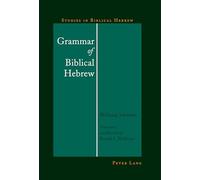 Grammar of Biblical Hebrew (Studies in Biblical Hebrew) by Wolfgang Schneider