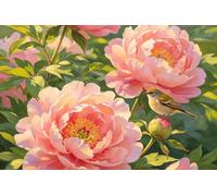 Gran Bandiera Peony Blooming Pink Flowers Bird On Bud Dew Spring Summer
