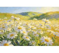 Gran Bandiera Spring Summer Flower Flowers Daisies Field Meadow With Blue