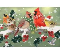 Gran Bandiera Winter Snow Birds With Scarfs Hats Cardinal Pine Fruit