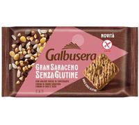 GRAN SARACENO BISCOTTO GTT CIO