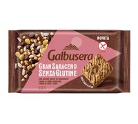 GRAN SARACENO BISCOTTO GTT CIO