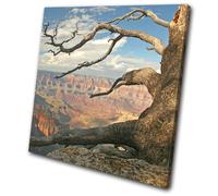 Grand Canyon Arizona USA Tree Landscapes SINGLE TELA parete arte foto stampa