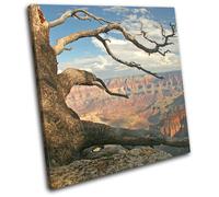 Grand Canyon Arizona USA Tree Landscapes SINGLE TELA parete arte foto stampa