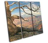 Grand Canyon Arizona USA Tree Landscapes TREBLE TELA parete arte foto stampa