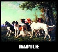 Grand Gallery Presents - Diamond Life