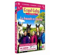Grand galop, la demande en mariage