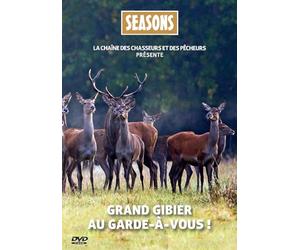 Grand gibier au garde à vous