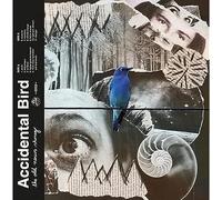 GRAND HOTEL accidental bird-the old news shrug lp bl