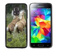 Grand Phone Cases Carcasa Funda Prima Delgada SLIM Casa Case Bandera Cover Shell para // M00140381 Cavalli Mammifero Lottare Wild Animal // Samsung Galaxy S5 MINI SM-G800