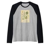 Grand Wormwood Artemisia Absinthium Botanico Maglia con Maniche Raglan