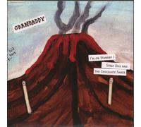Grandaddy - Stray Dog and the Chocolate...