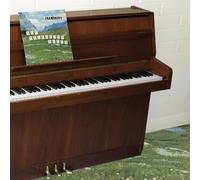 Grandaddy The Sophtware Slump... On a Wooden Piano (Vinyl LP)