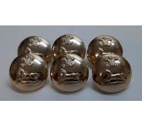 Grande Army Bottoni Rango Principe Del Galles Il Reggimento Di Yorkshire Insegna