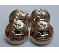 Grande Army Bottoni Rango Principe Del Galles Il Reggimento Di Yorkshire Insegne