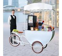 Grande Carrello per Cibo in Bicicletta, carrelli per Gelati a Tre Ruote, Triciclo Mobile per la Vendita di Cibo da Strada, Triciclo per la Vendita di Cibo da Strada