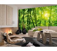 Grande Carta Da Parati Murale 366X254Cm (12' X 8'4") Foresta Di Bambù Verde