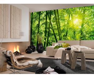 Grande Carta Da Parati Murale 366X254Cm (12' X 8'4") Foresta Di Bambù Verde