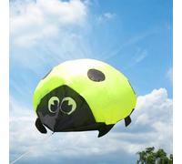 Grande coccinella kite regalo da spiaggia per esterni per attività di