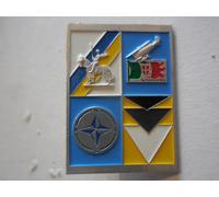 Grande distintivo reparto S. PSI supporto psicologico Monte grappa