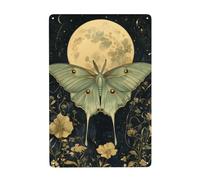 Grande falena lunare ali verde pallido metallo segni di latta decorazione artistica da parete per bagno toilette fattoria toilette cortile 20 x 30 cm