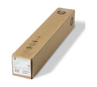 Grande formato HP C6029C