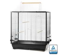 Grande Gabbia per Uccelli Canarini Budgie Pappagalli Grandi Patio