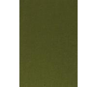 Grande lessico dell'Antico Testamento. Indici e appendice bibliografica (Vol. 10)