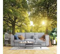 Grande murale su misura con parco di querce illuminate dal sole, arte della parete della natura verde, carta da parati di dimensioni personalizzate per soggiorno, camera da letto, decorazione