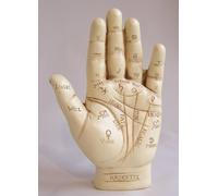 Grande ornamento a forma di mano della chiromanzia e libretto di istruzioni per la lettura del palmo della mano [in lingua inglese]