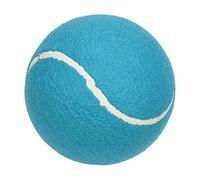 Grande Palla da Tennis Gonfiabile per Bambini e Cani, Palla per Autografi con Display della Firma (BLUE)