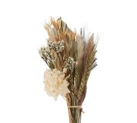 Grande Pampa essiccata Erba Foglie Bouquet Composizioni floreali Cake Topper