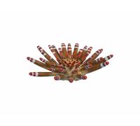 Grande Riccio Tropicale Decorazioni per Acquario Resina Atossica Arredo Decoro